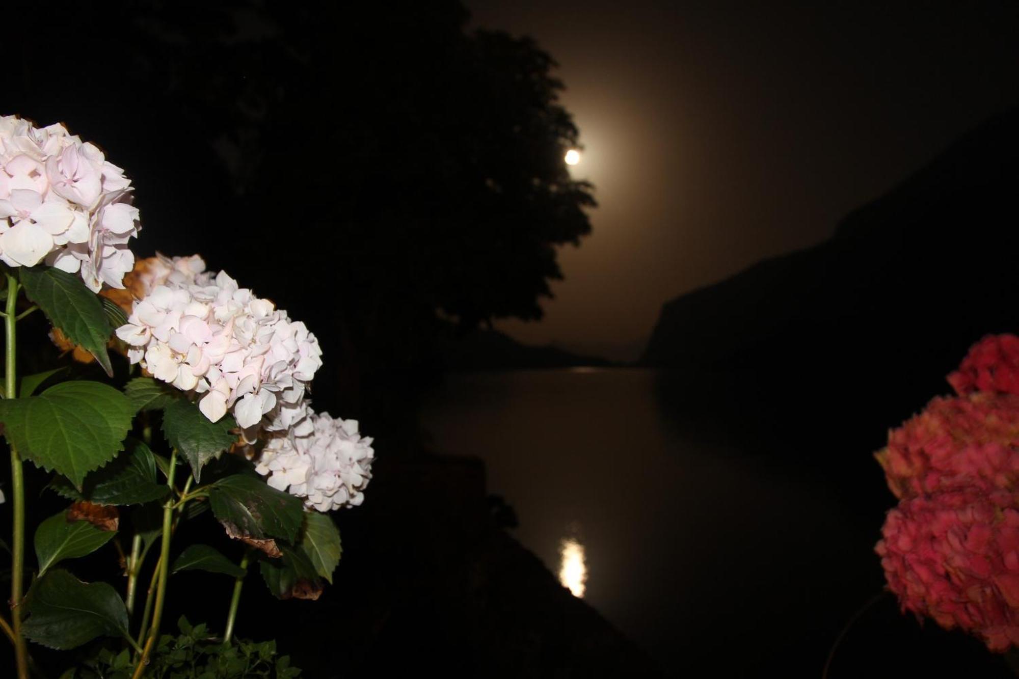 Lago Park Hotel Molveno Esterno foto